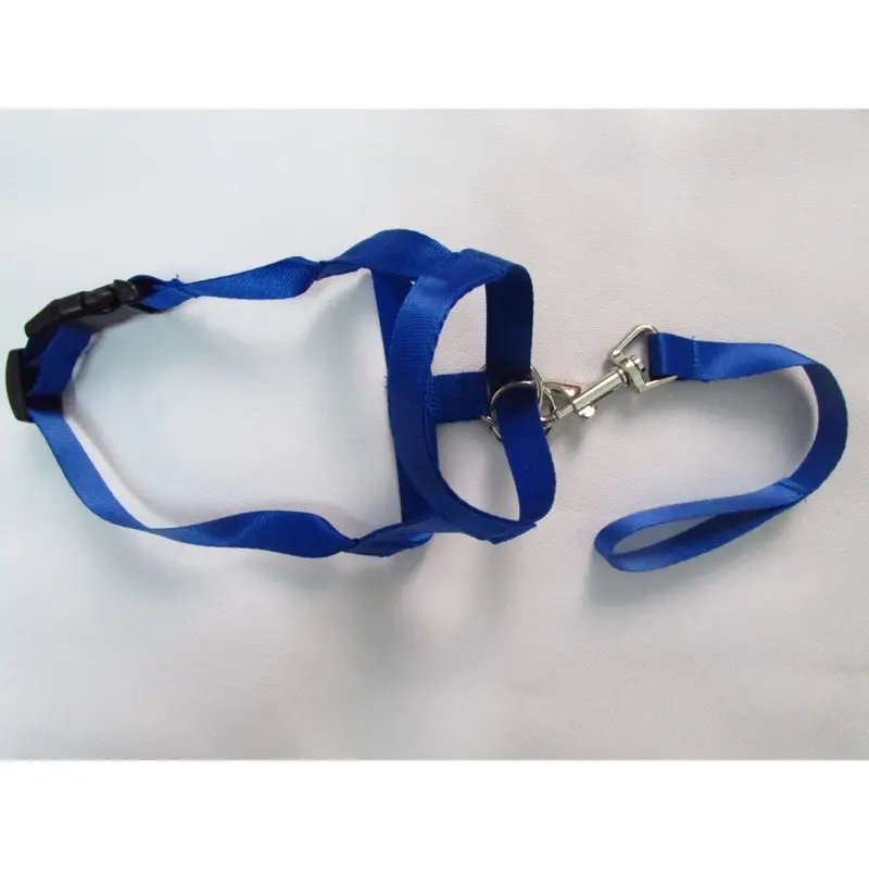 Blue (, S) Nylon Quality Premium Dog Muzzle Antibark Antibite Training Redblack Tool