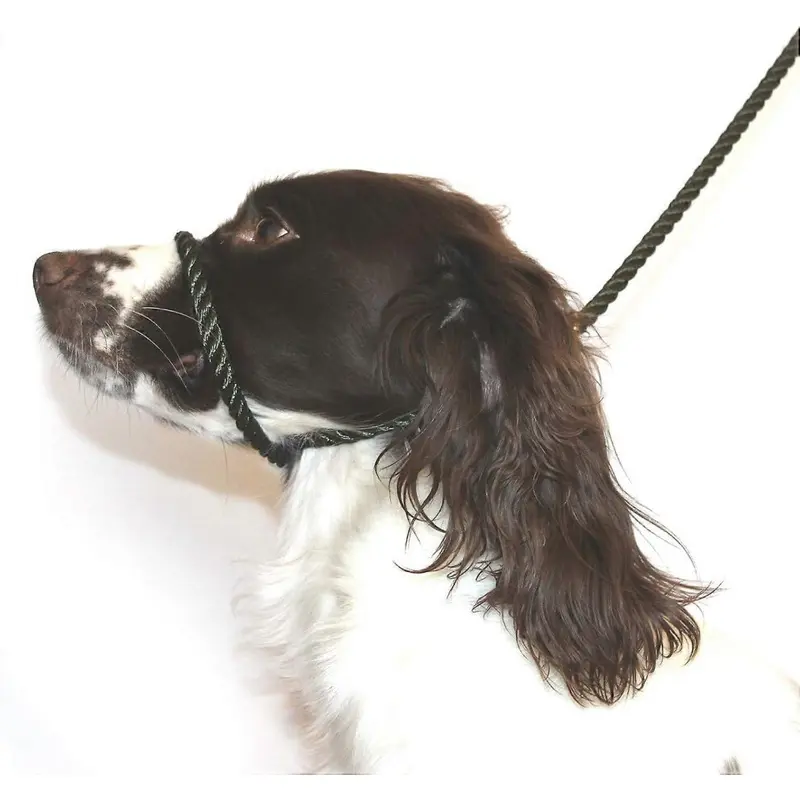 Black Dog & Field Figure Anti-Pull Lead/Halter/Head Collar/Harness, Size 8