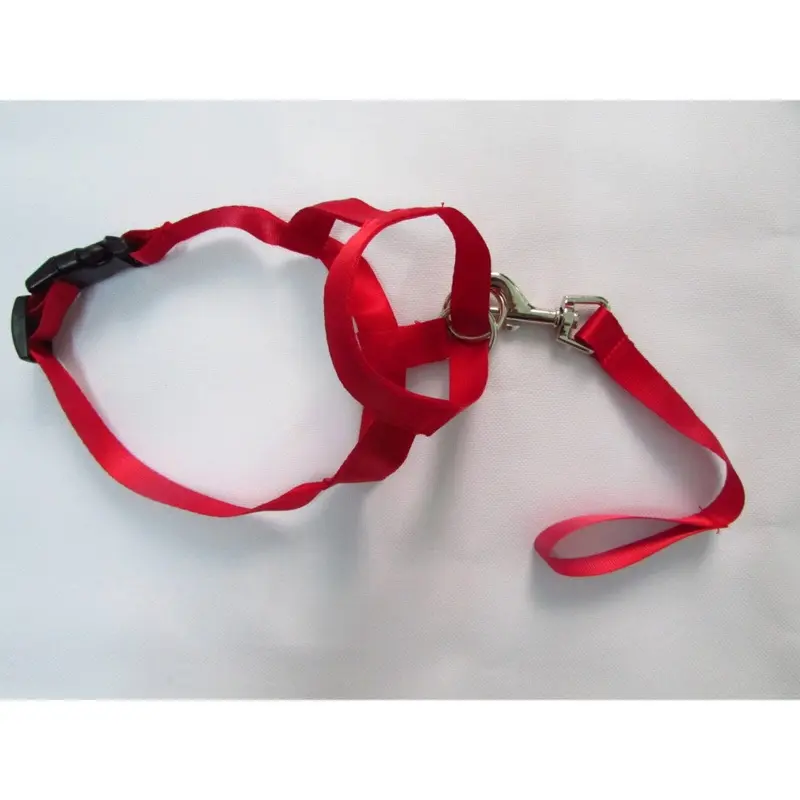 Red (, M) Nylon Quality Premium Dog Muzzle Antibark Antibite Training Blueredblack Tool