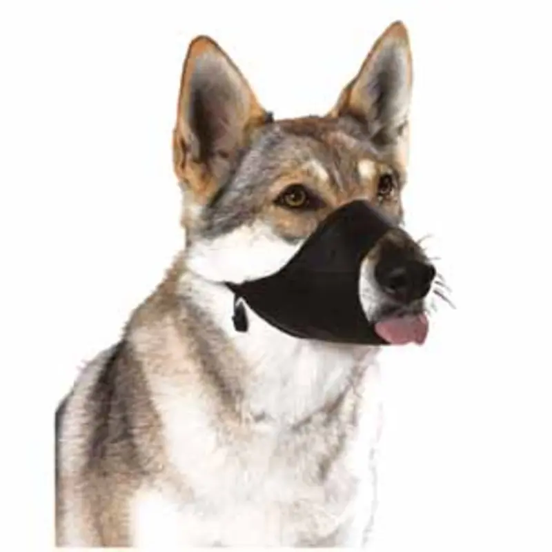 Pets At Home Dog Training Fabric Safety Muzzle Large