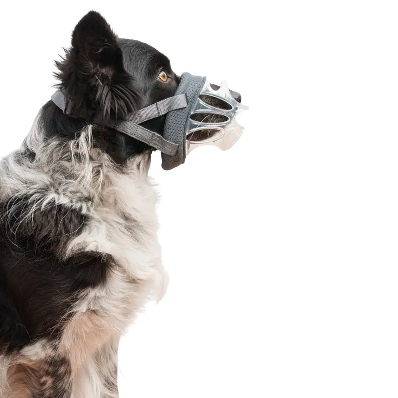 Baskerville Invisa Dog Basket Muzzle Size 4