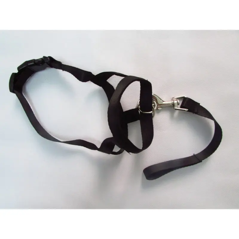 Black (, M) Nylon Quality Premium Dog Muzzle Antibark Antibite Training Bluered Tool