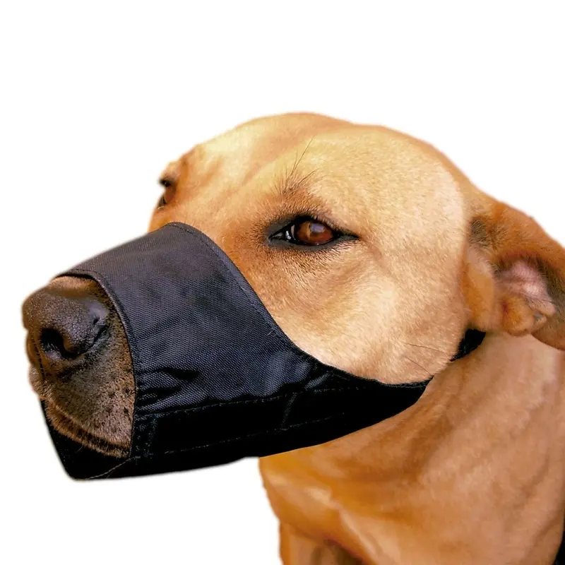 ICA DB930 Adjustable Nylon Muzzle for The Yorkshire Breed, Black
