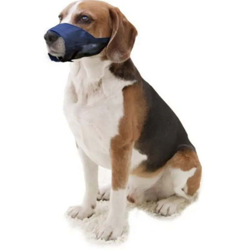 Pawise Dog Muzzle Small