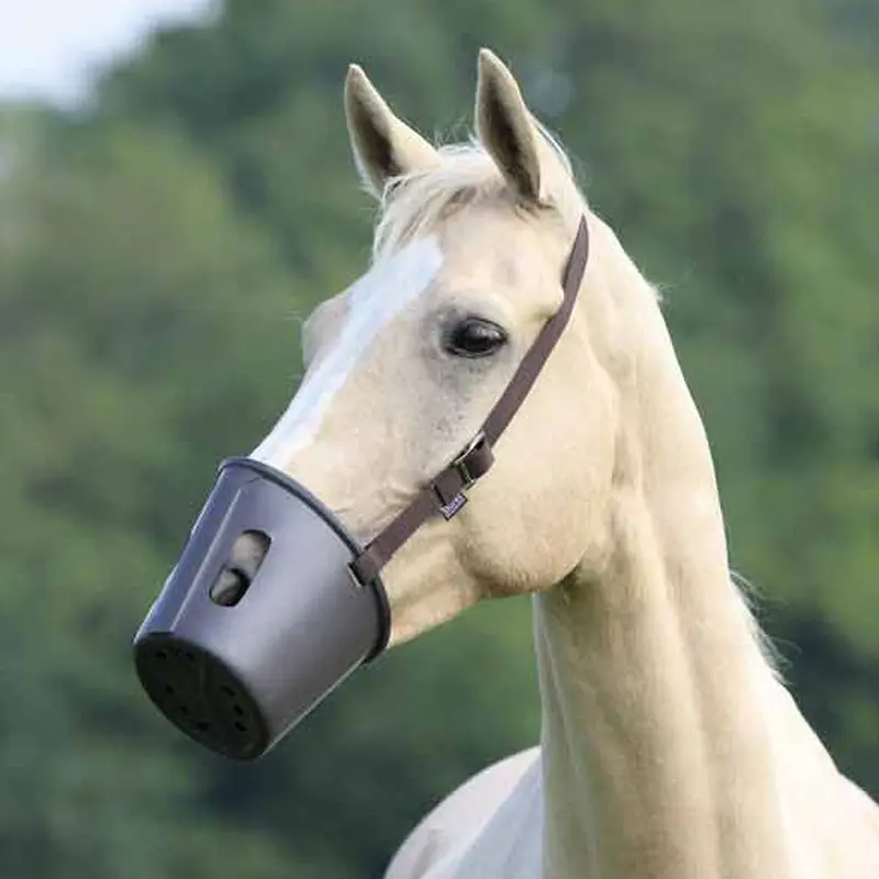 Shires Unisex Plastic Muzzle Brown Small