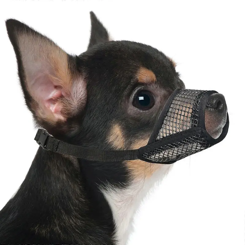 Mcboson Dog MaskS Small
