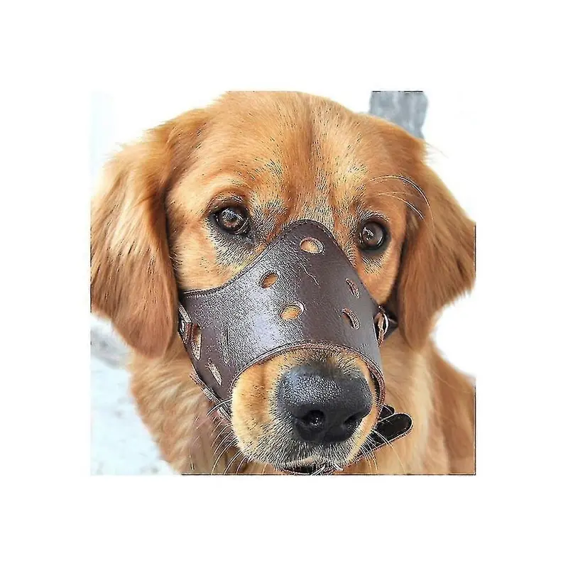 (L) Dog Leather Anti Bark Muzzle For Dogs Small