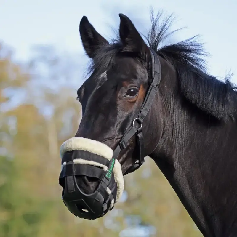 Shires Unisex Black Freegraze Airflow Grazing Muzzle Padded Extra Full