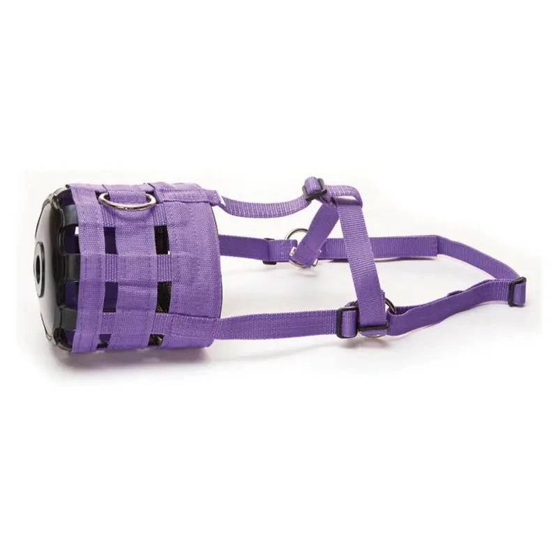 Hy Purple (Pony, ) Muzzle