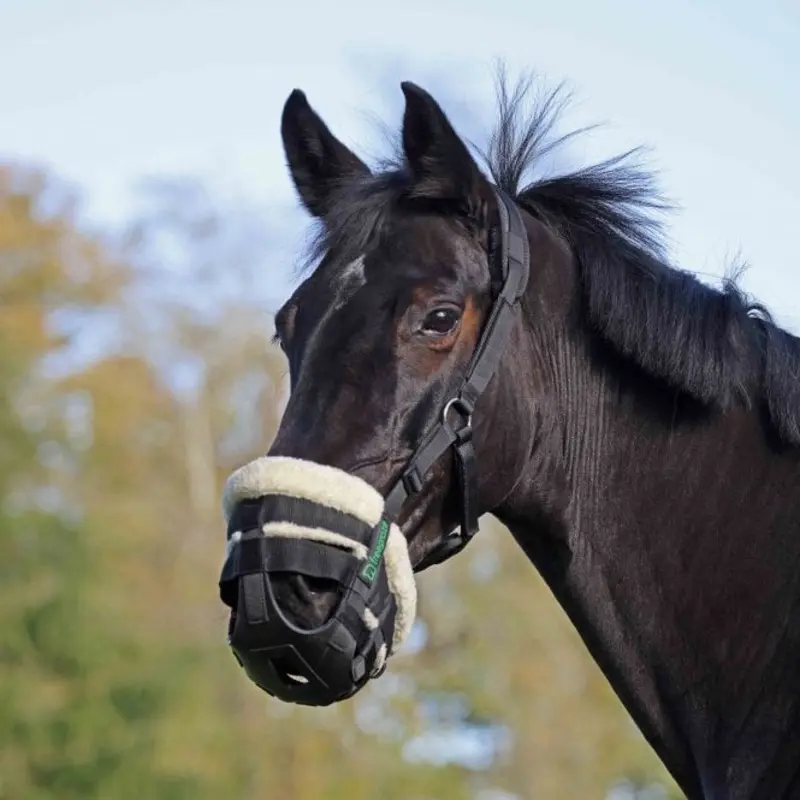 Shires FreeGraze AirFlow Grazing Muzzle - Black Size: Cob