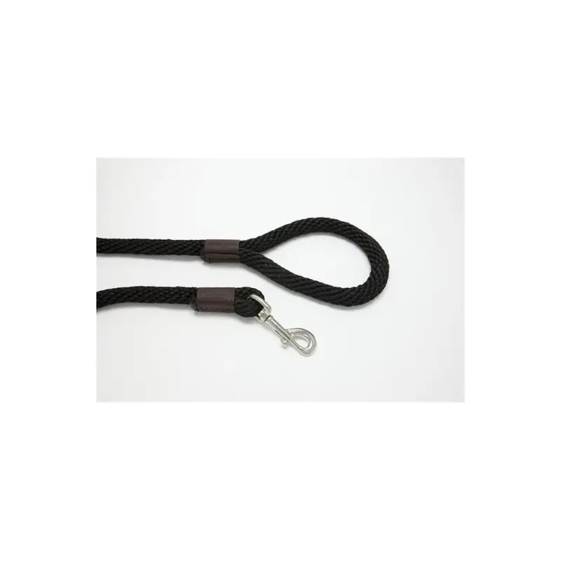 Purple Pebble Lz586bk 6 Ft. X 0.62 In. Leedz Super Thick Black Leash 6Ft