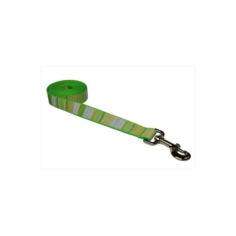 Sassy Dog Wear Green Stripe-Multi3-L 6 Ft. Multi Stripe Dog Leash, - Medium