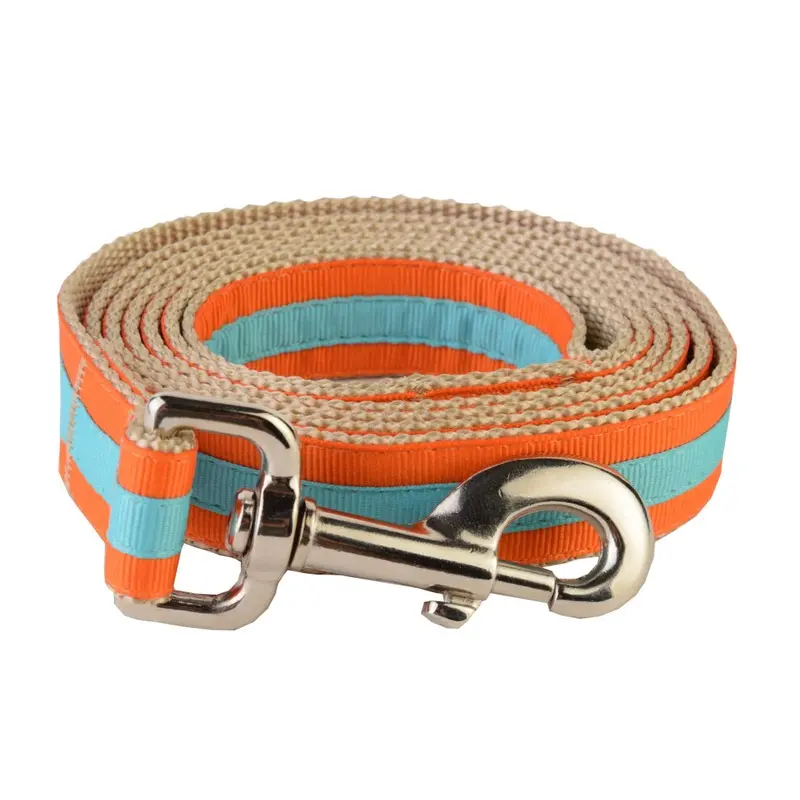 Paw Paws Usa Prep School Shep Dog Leash Multicolored Medium