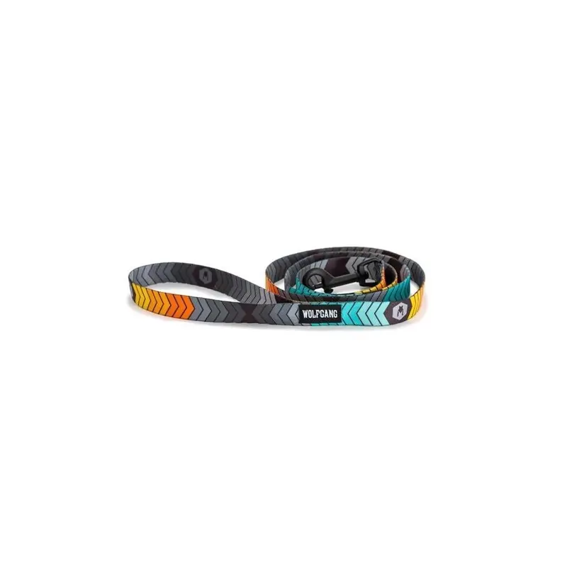 Wolfgang 8101176 4 In. Multi Color Chev Tech Polyester Dog Leash, & Small