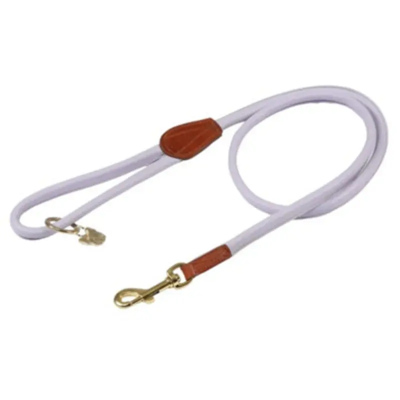 B&Q Lilac Digby & Fox Rolled Leather Dog Lead (One ) 110Cm