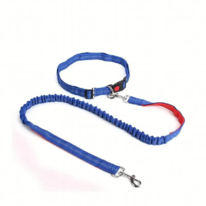 Blue Pet Dog Leash Elastic Pet Outdoor Running Leash Walking Dog Leash