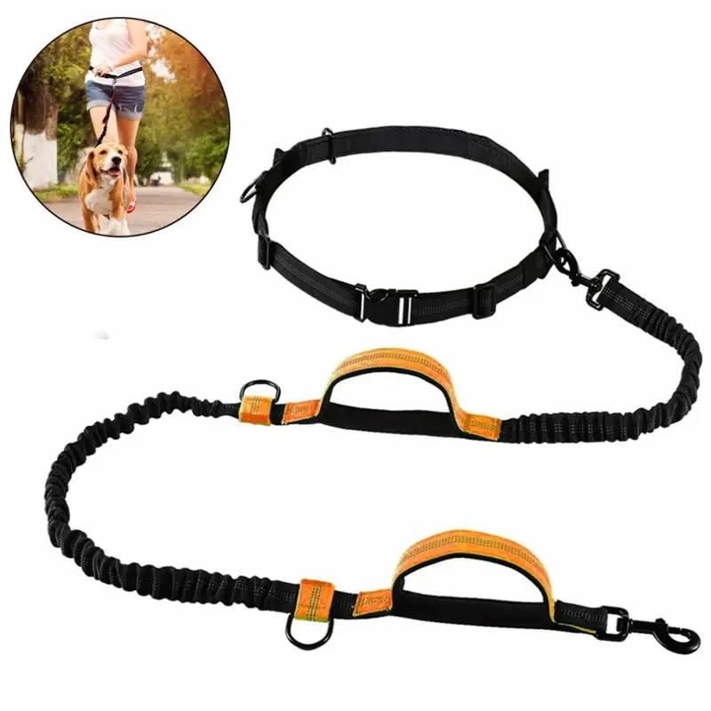 Leash Orange Dog Hands-Free Dog With Two Bungees, Long Nylon Dog -Fluorescent