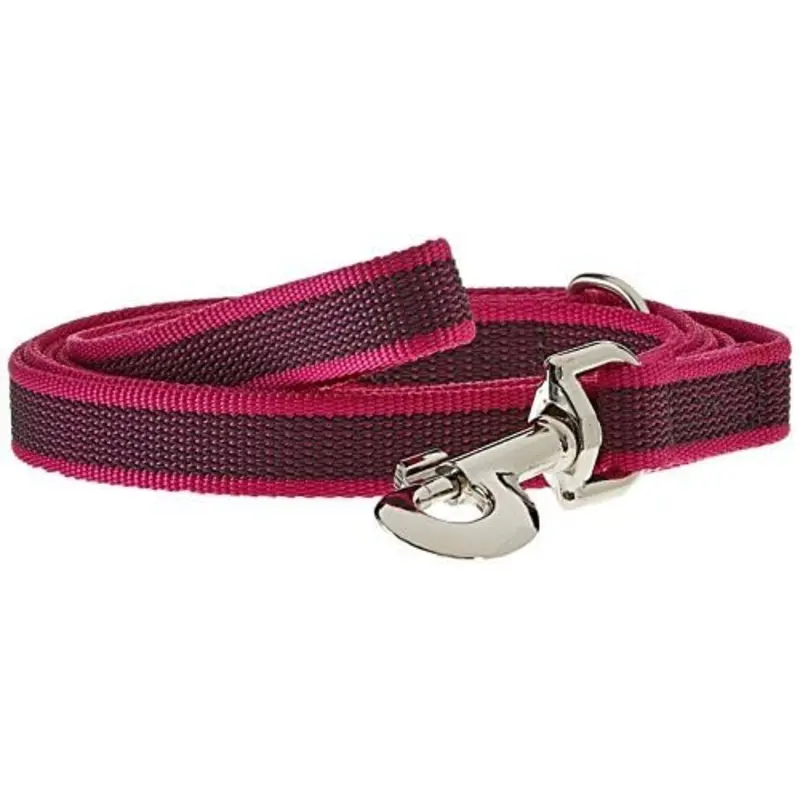 Color & Gray Super-Grip Leash with Handle, 20 mm x 2 m, Pink-Gray