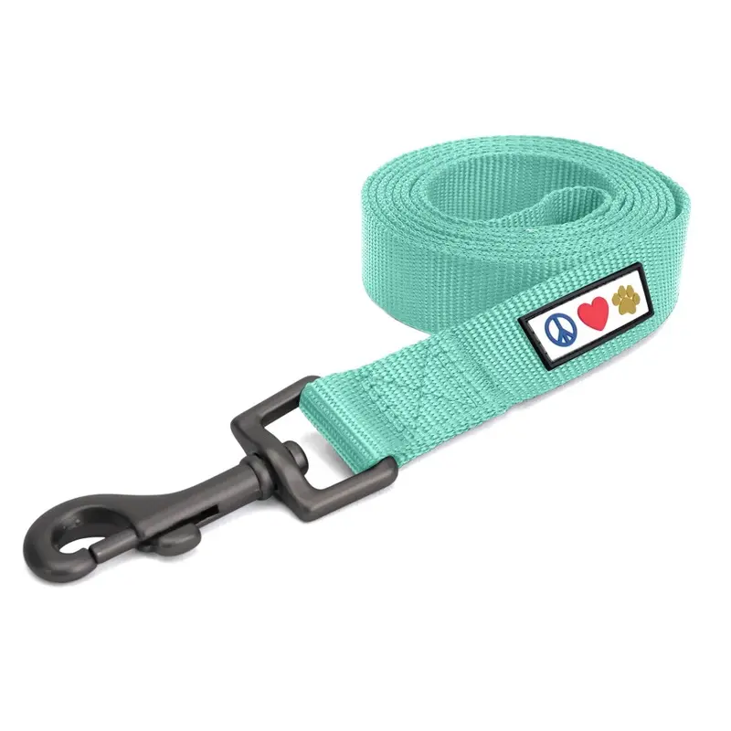 Pawtitas Blue 6 Ft Solid Color Leash For Puppy & Dog Training - Extra Extra Teal Small