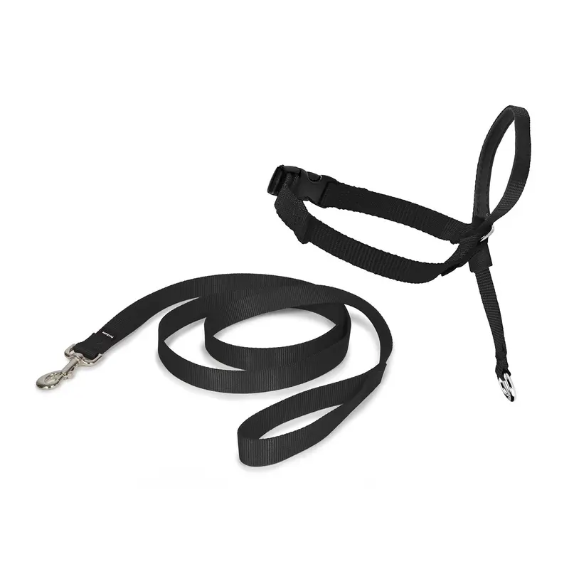 PetSafe Easy Walk Head Collar