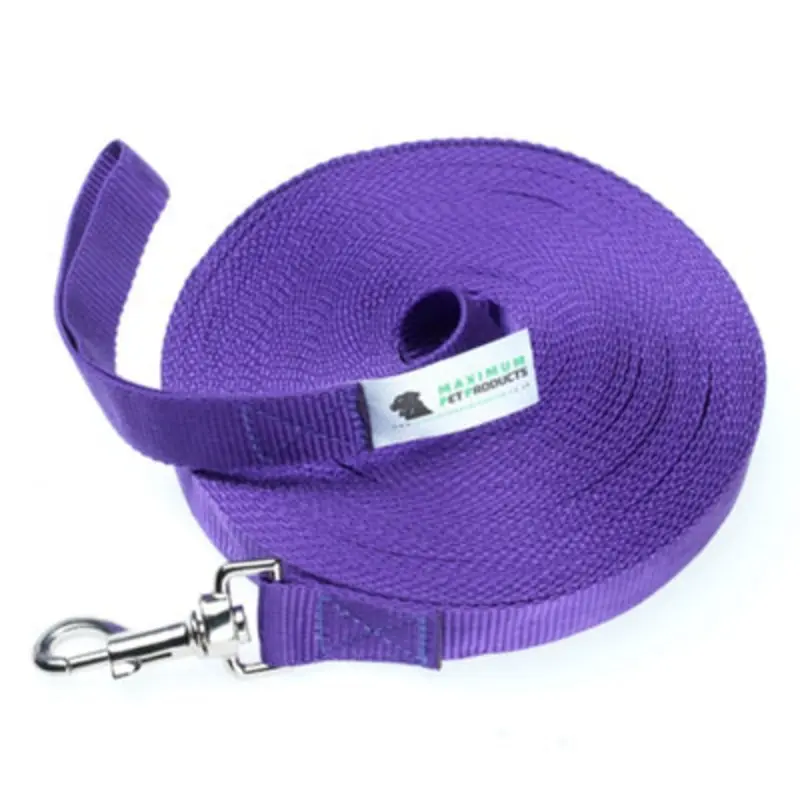 B&Q 50Ft Strong Dog Training Lead Purple