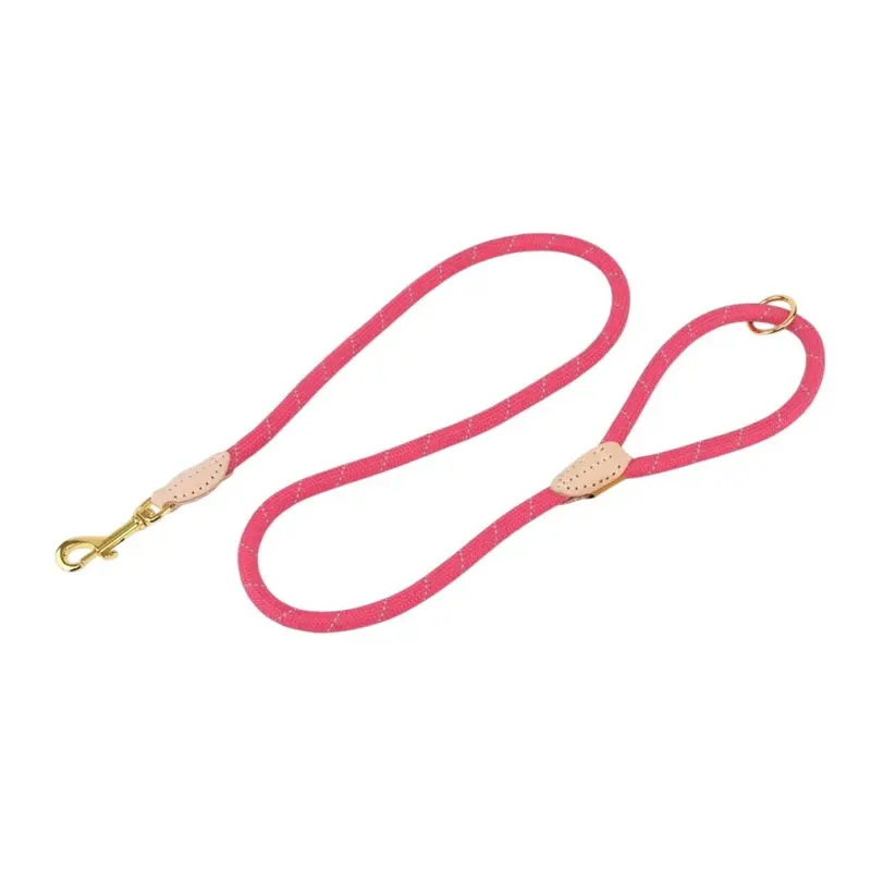 Digby & Fox Pink (One Size, ) Reflective Leather Dog Lead