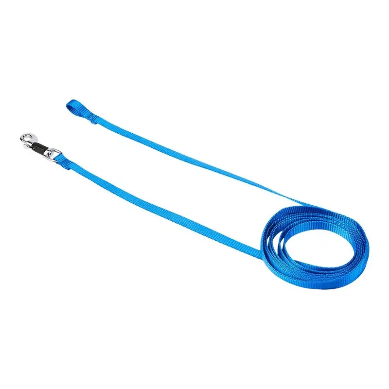 Pets At Home Indoor Dog Training Line Blue
