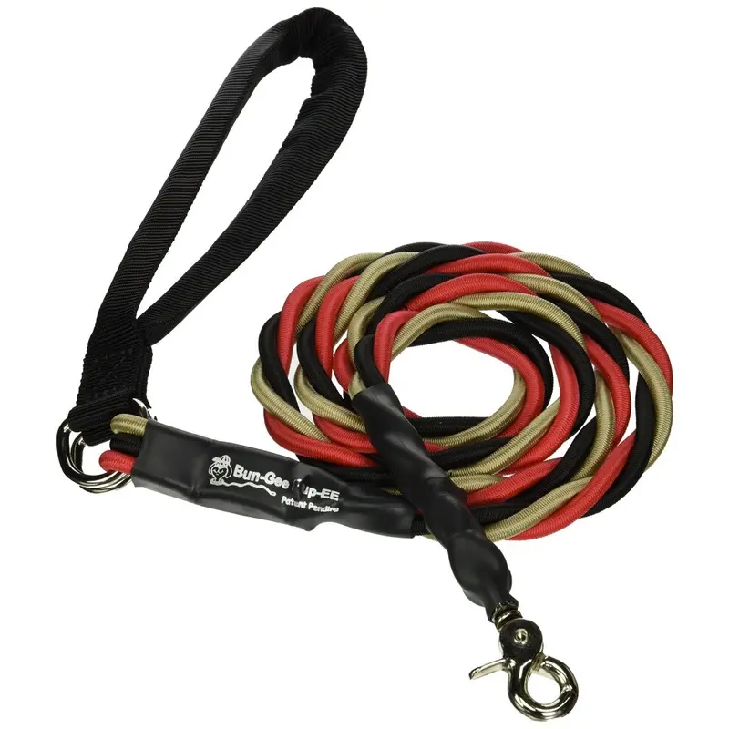 Bungee Pupee Red/Black/Gold 6-Feet Leash Large