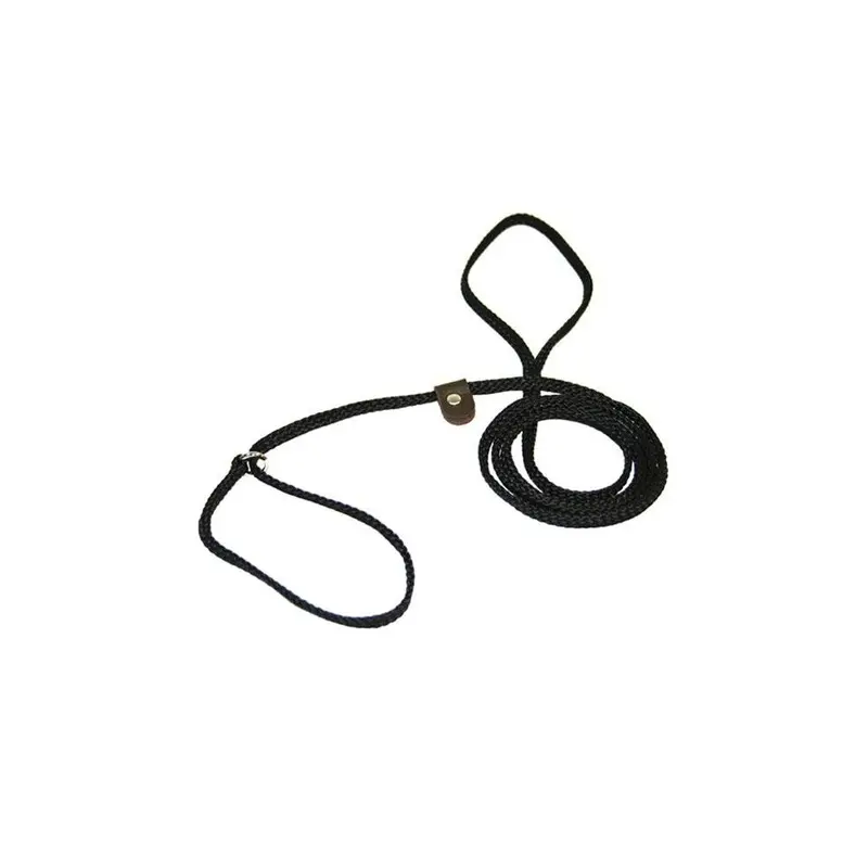Domesticated Supplies Blue Flat Braided Rope Lead With Slip, Royal - 0.25 In. 0.25In