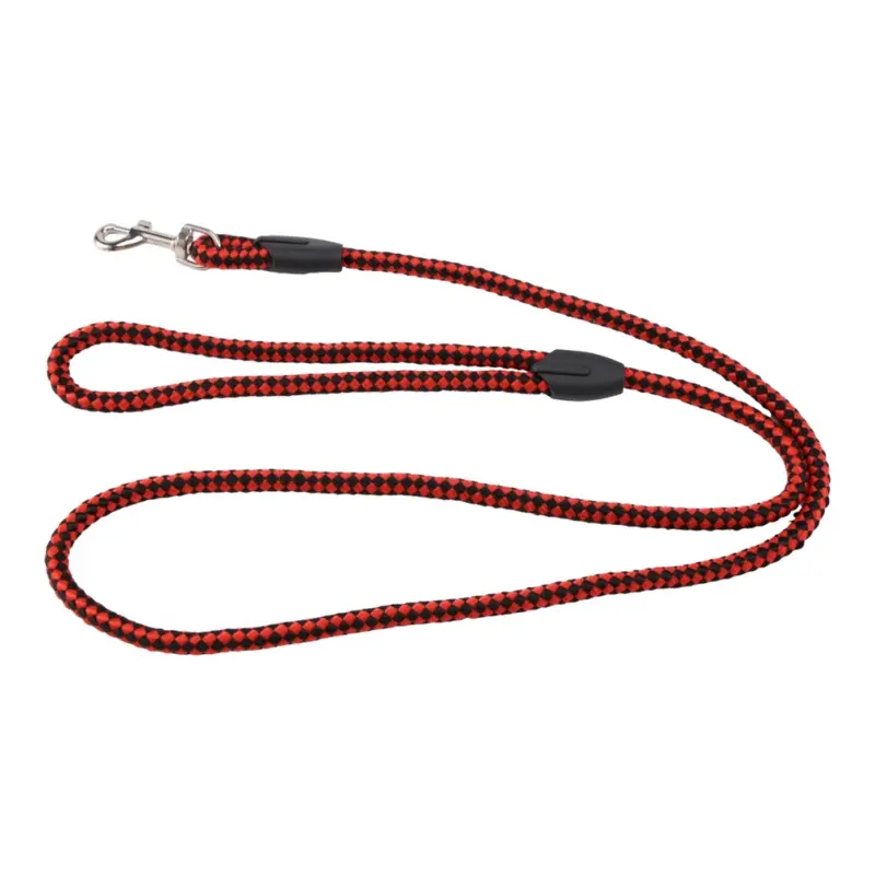 Typecat Artificial Leather Braid Dog Leash - Small