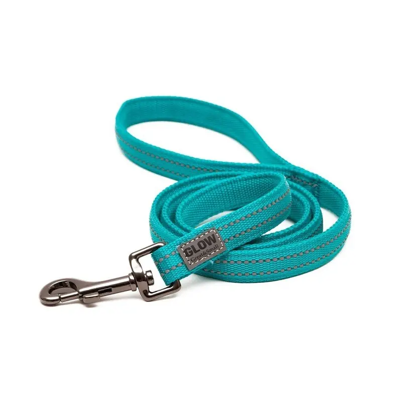 Great Turquoise Great & Dog Glow Lead Small
