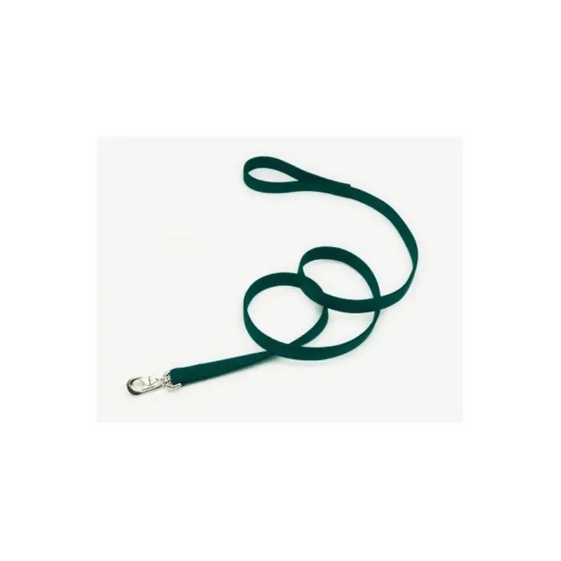 Petpath Coastal Pet Products 2906 Double 1 In. Lead - Hunter 1In