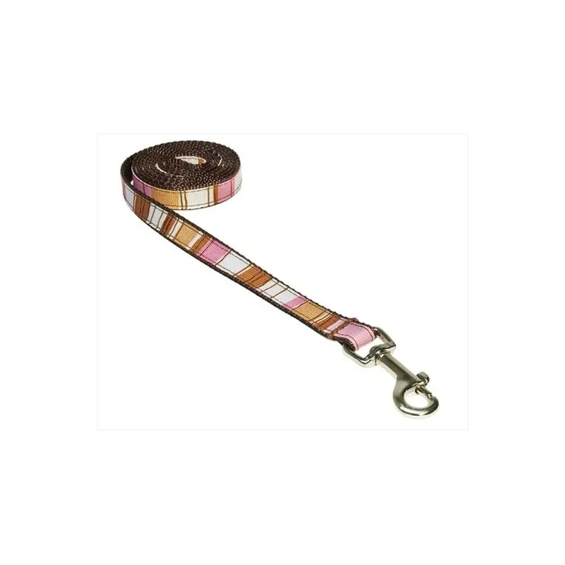 Sassy Dog Wear Brown Stripe-Multi1-L 4 Ft. Stripe Dog Leash, - Extra Small