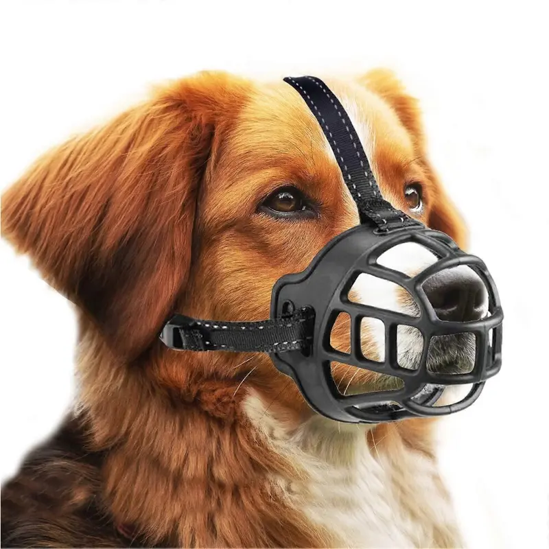 Black (As Show, One ) Training Leash For Dog Sizes Up To Adjustable Leash (Black) 16Kg