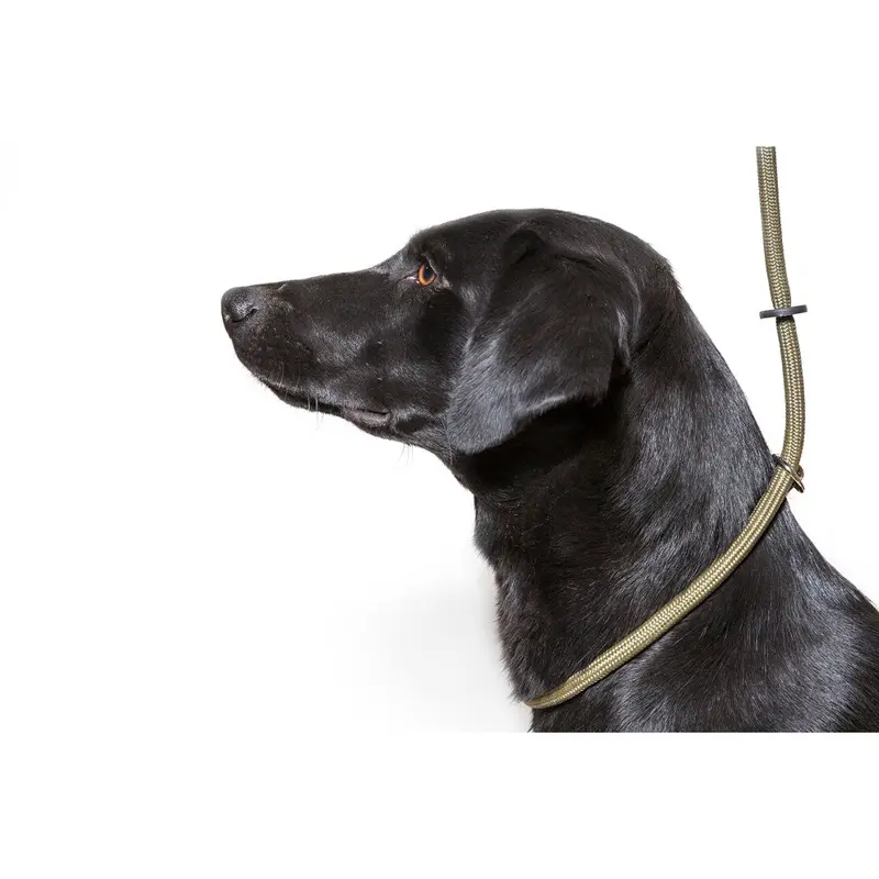 Hond & Veld Green Dog & Field Deluxe Gundog Nylon Slip Lead