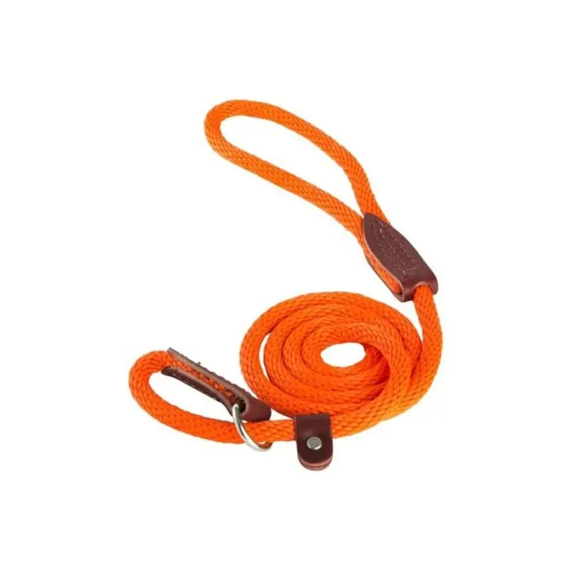Catlady Orange British Slip Loop Rope Leads For Dogs,