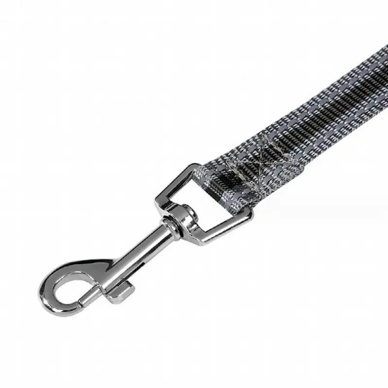 Grey Luminous Dog Leash Dog Leash Webbing Reflective Basic Leashes For Dog Small