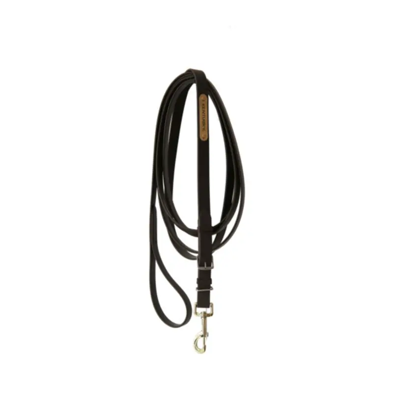 Kentucky Marron Presentation Horse Lead Rope 4M