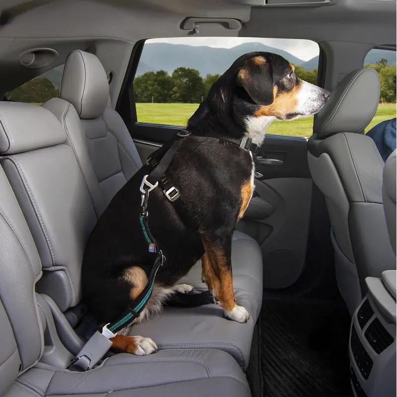 Kurgo Direct To Seatbelt Swivel Dog Tether - Black Small