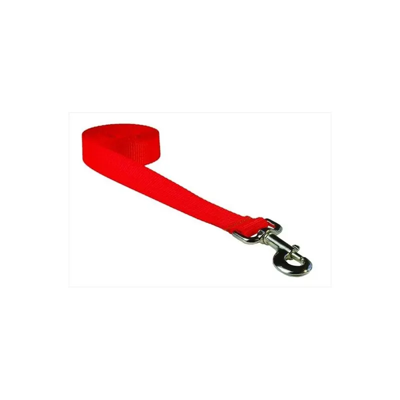 Fly Free Zone,Inc. Orange 6 Ft. Nylon Webbing Dog Leash, Neon - Large