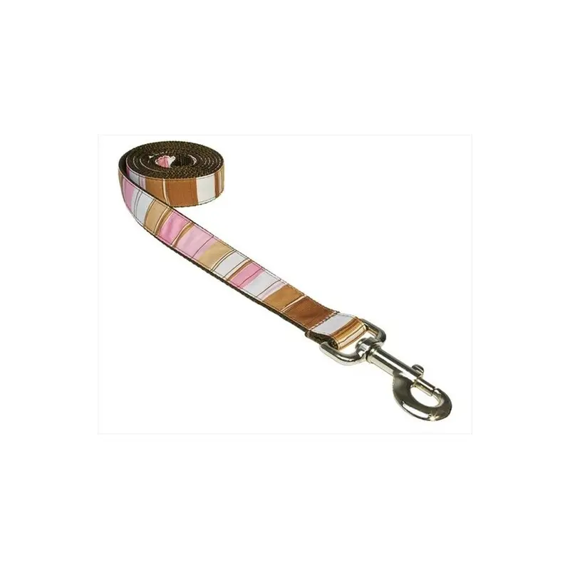 Fly Free Zone,Inc. Brown Stripe-Multi2-L 4 Ft. Stripe Dog Leash, - Small