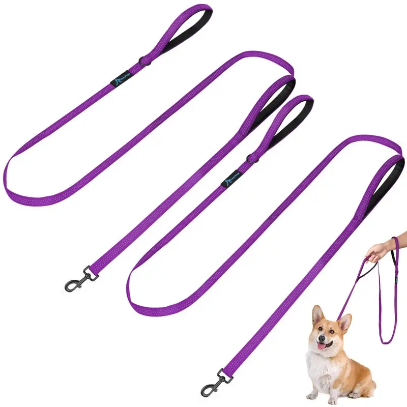 Puppydoggy 2 Pack Dog Leash For To Dogs 6 Ft With 3 Refle Small