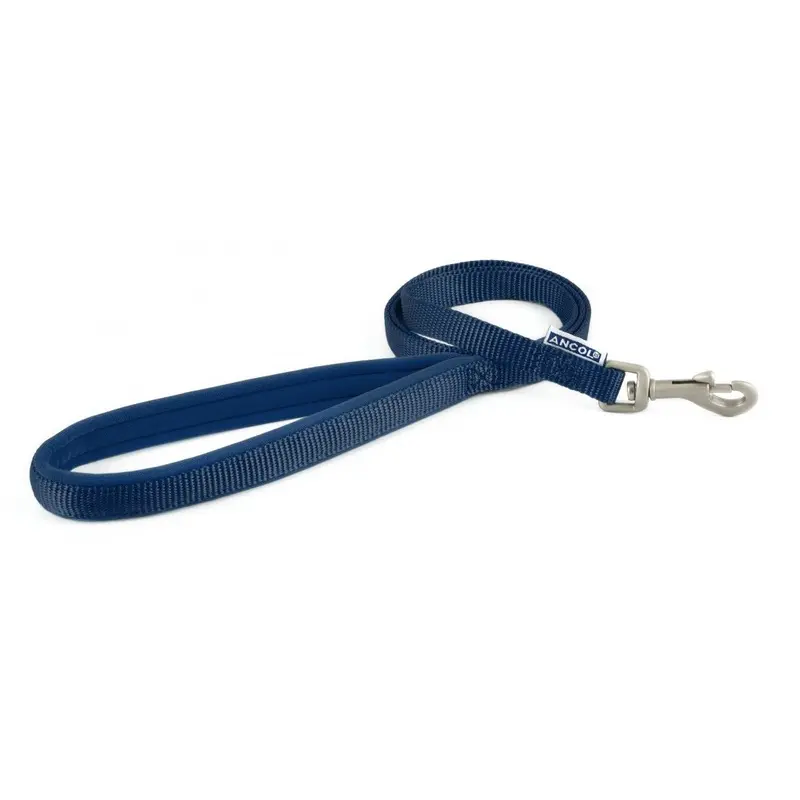 Ancol Heritage Nylon Lead - 19Mm X Purple 1M