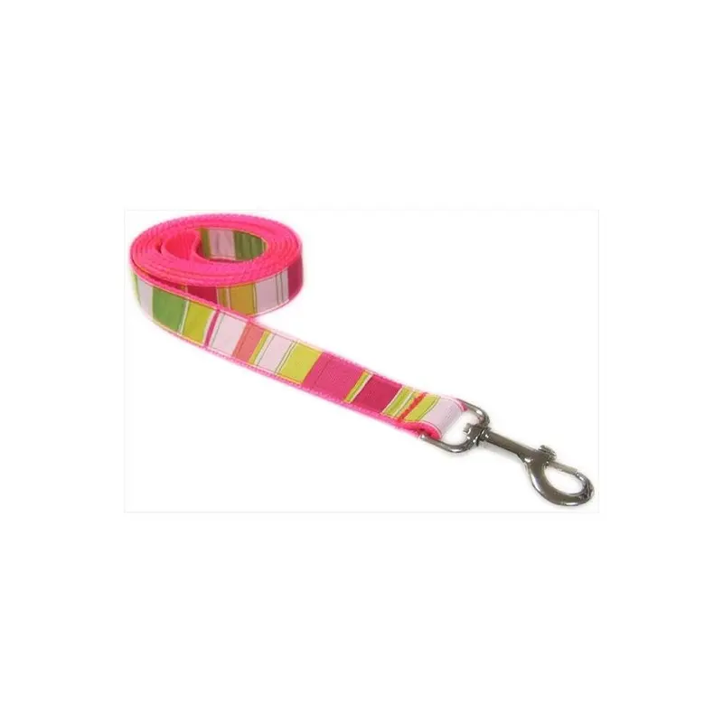 Fly Free Zone,Inc. Pink 4 Ft. Multi Stripe Dog Leash, Neon - Small