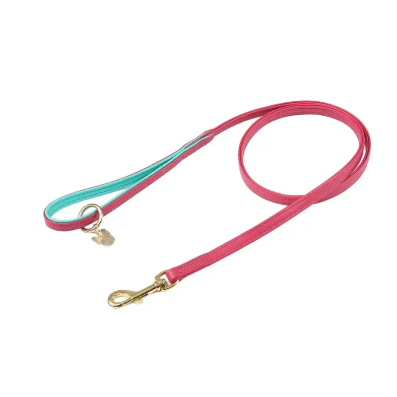 Digby & Fox Pink (1.5Cm, ) Leather Padded Dog Lead 1.5Cm