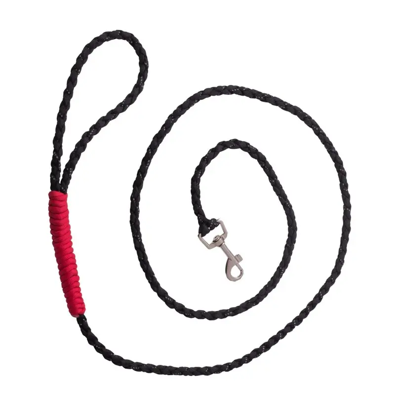 Golden Pets Dog Lead