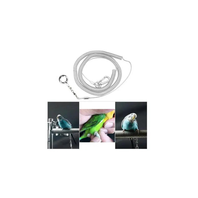 02989310 Alloy Foot Ring Foot Chain Bird Chain Parrot Flight Training Rope Size 1