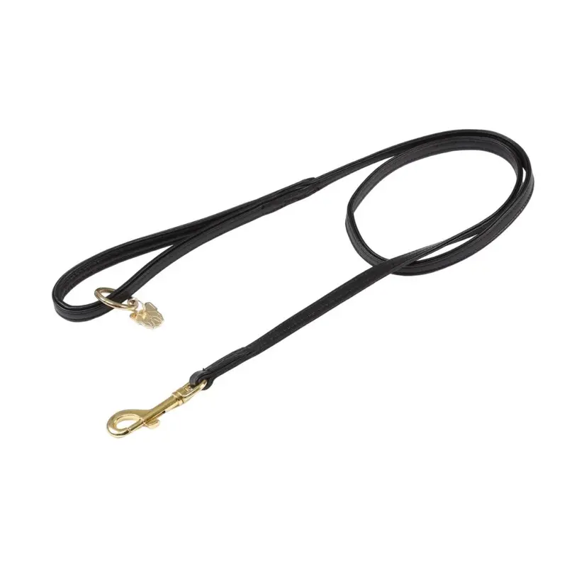 Digby & Fox Black (1.5Cm, ) Leather Padded Dog Lead 1.5Cm