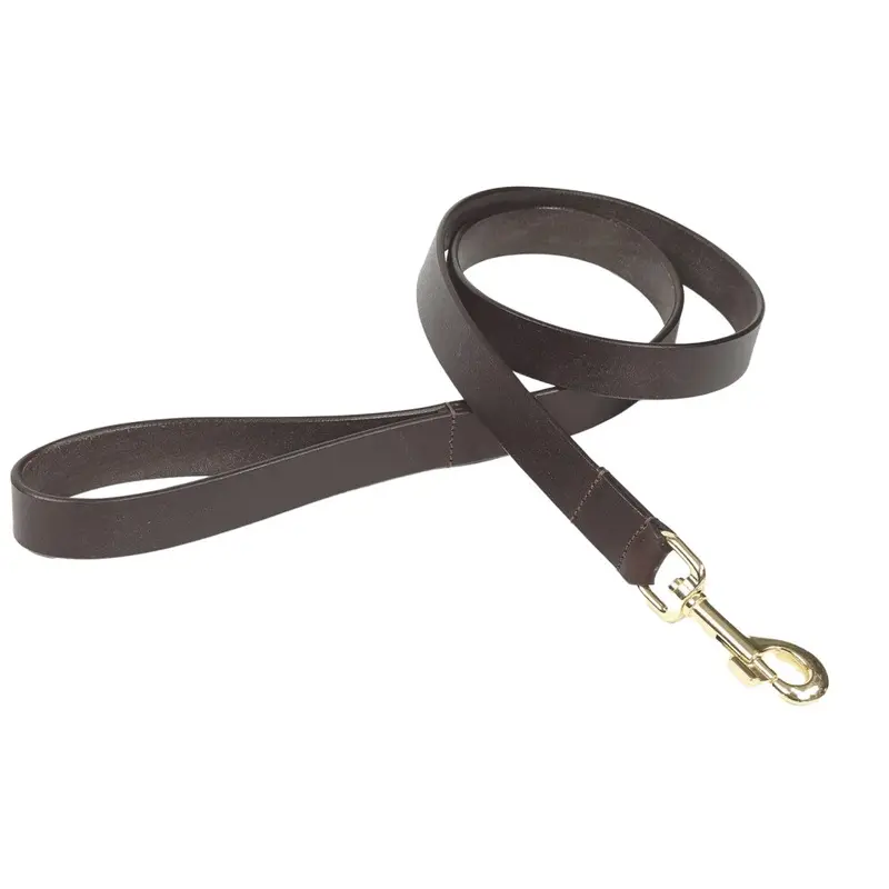 Digby & Fox Brown (S, ) Flat Leather Dog Lead