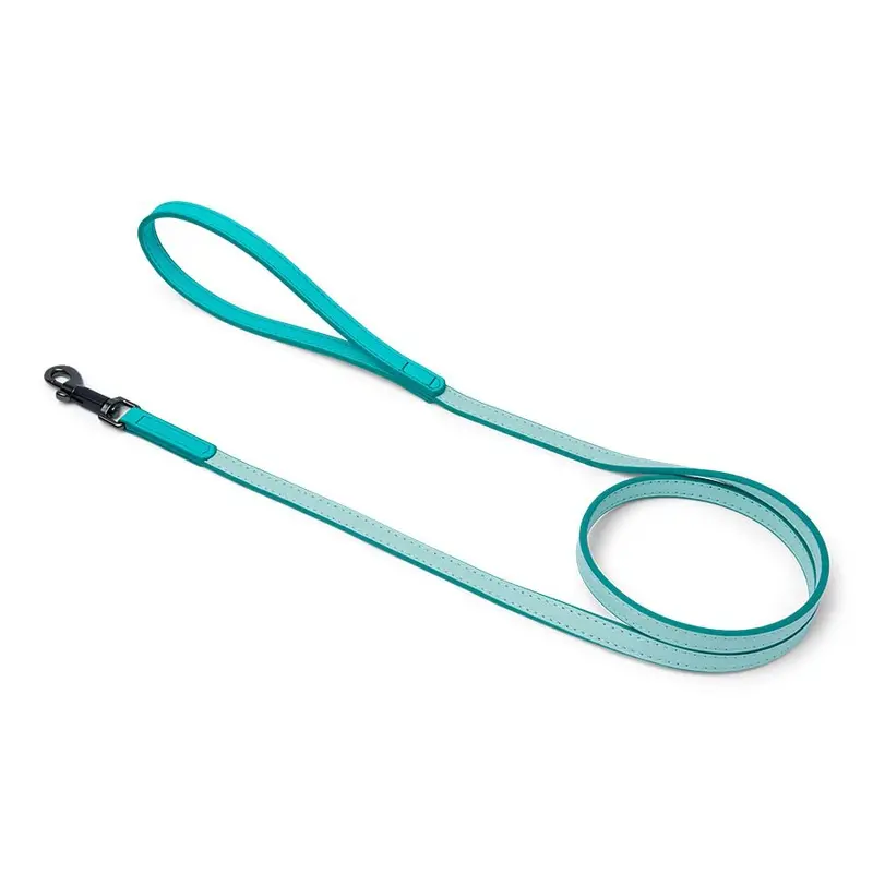 Pets At Home Duo Faux Leather Dog Lead Turquoise X Small-Small